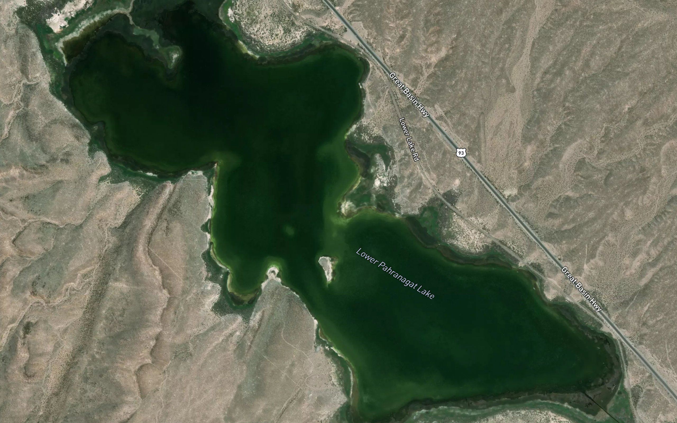 Lower Pahranagat Lake