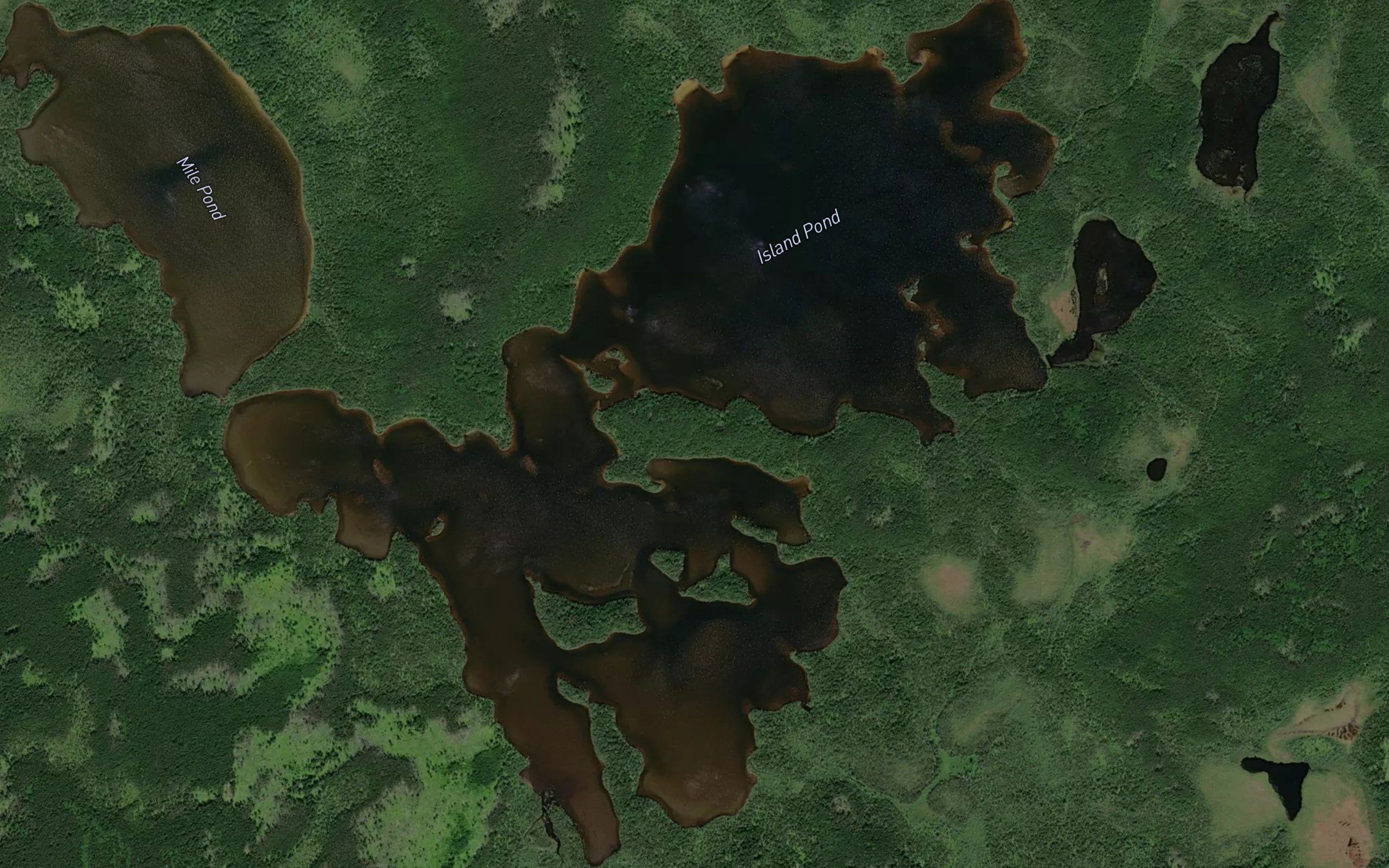 Island Pond