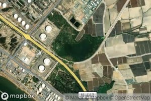 Laguna Primera de Palos