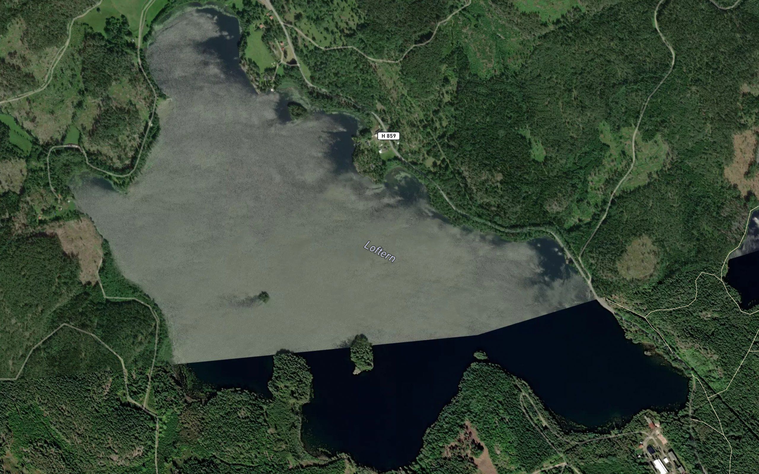 Loftern