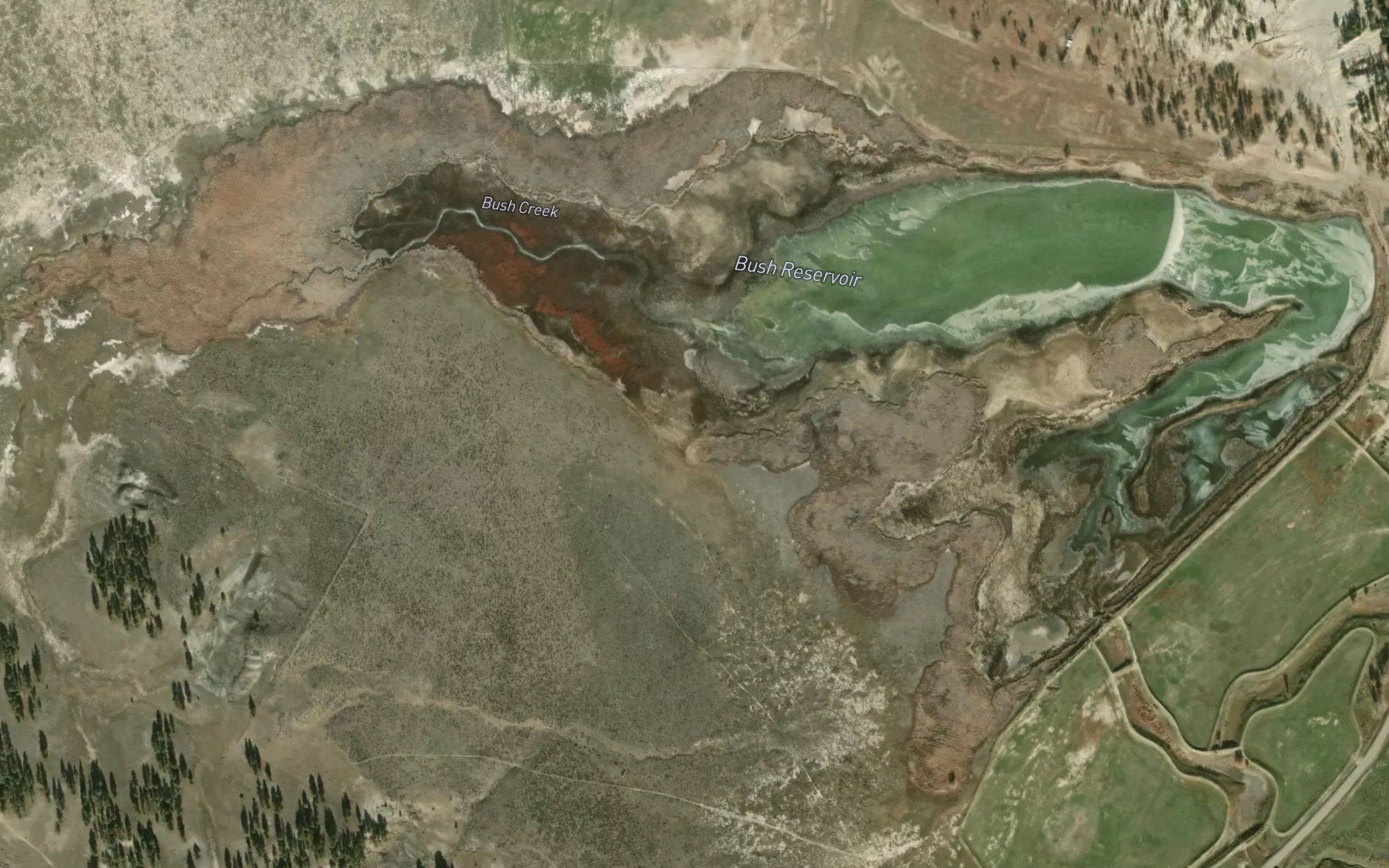 Bush Reservoir
