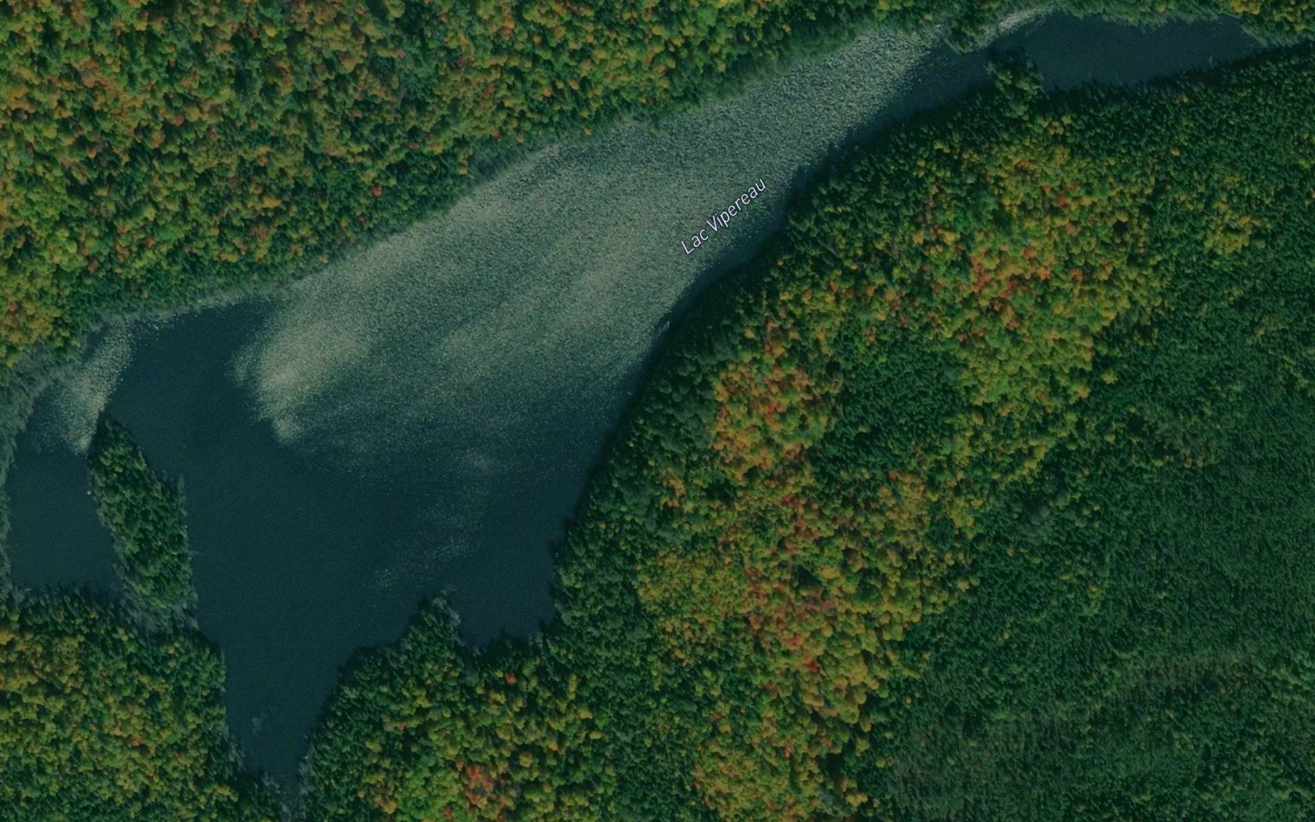 Lac Vipereau