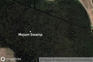 Mejum Swamp
