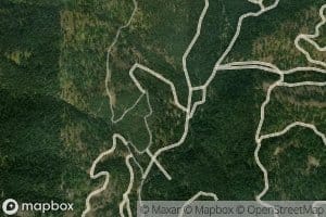 Jungle Creek