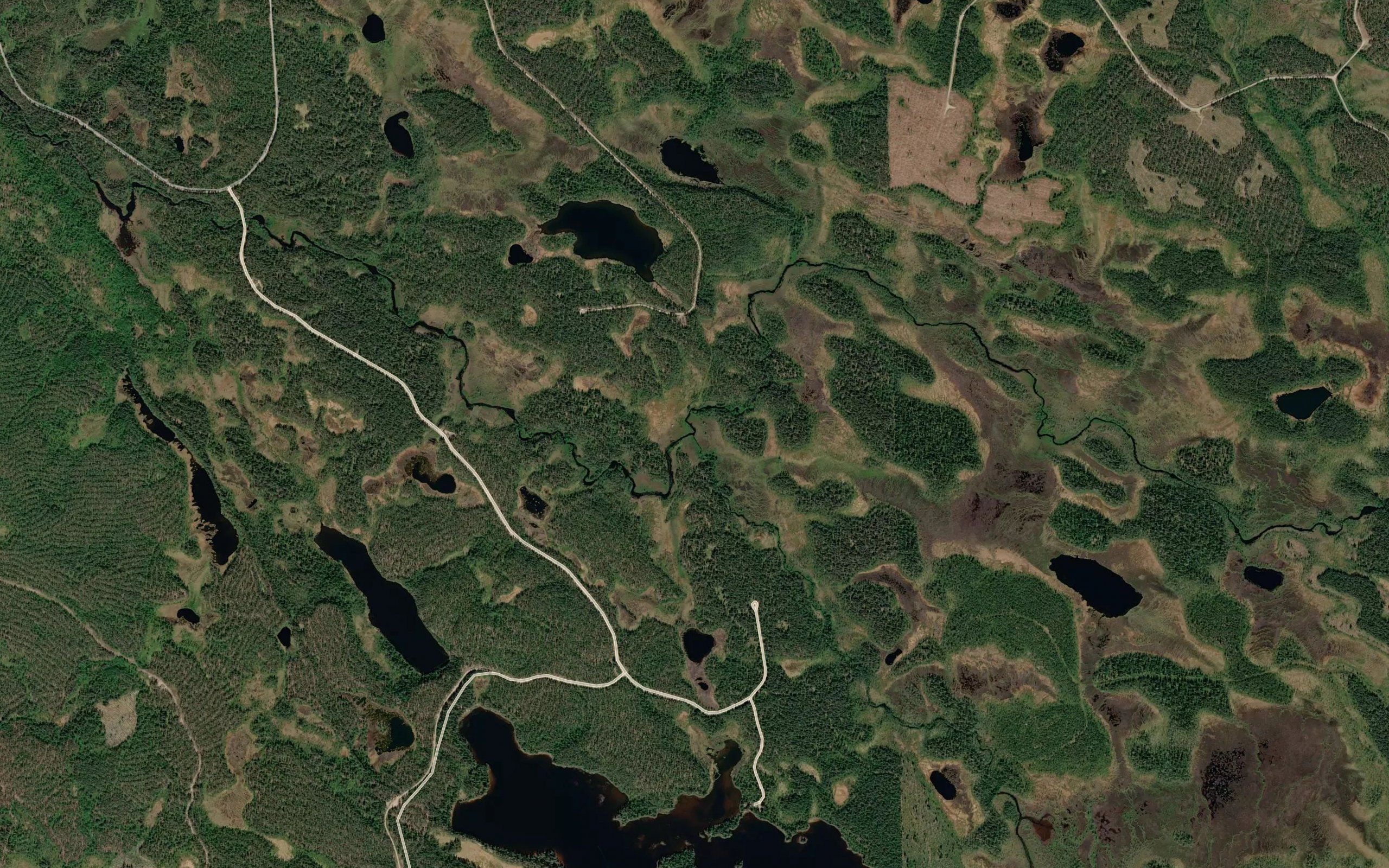 Suomuoja