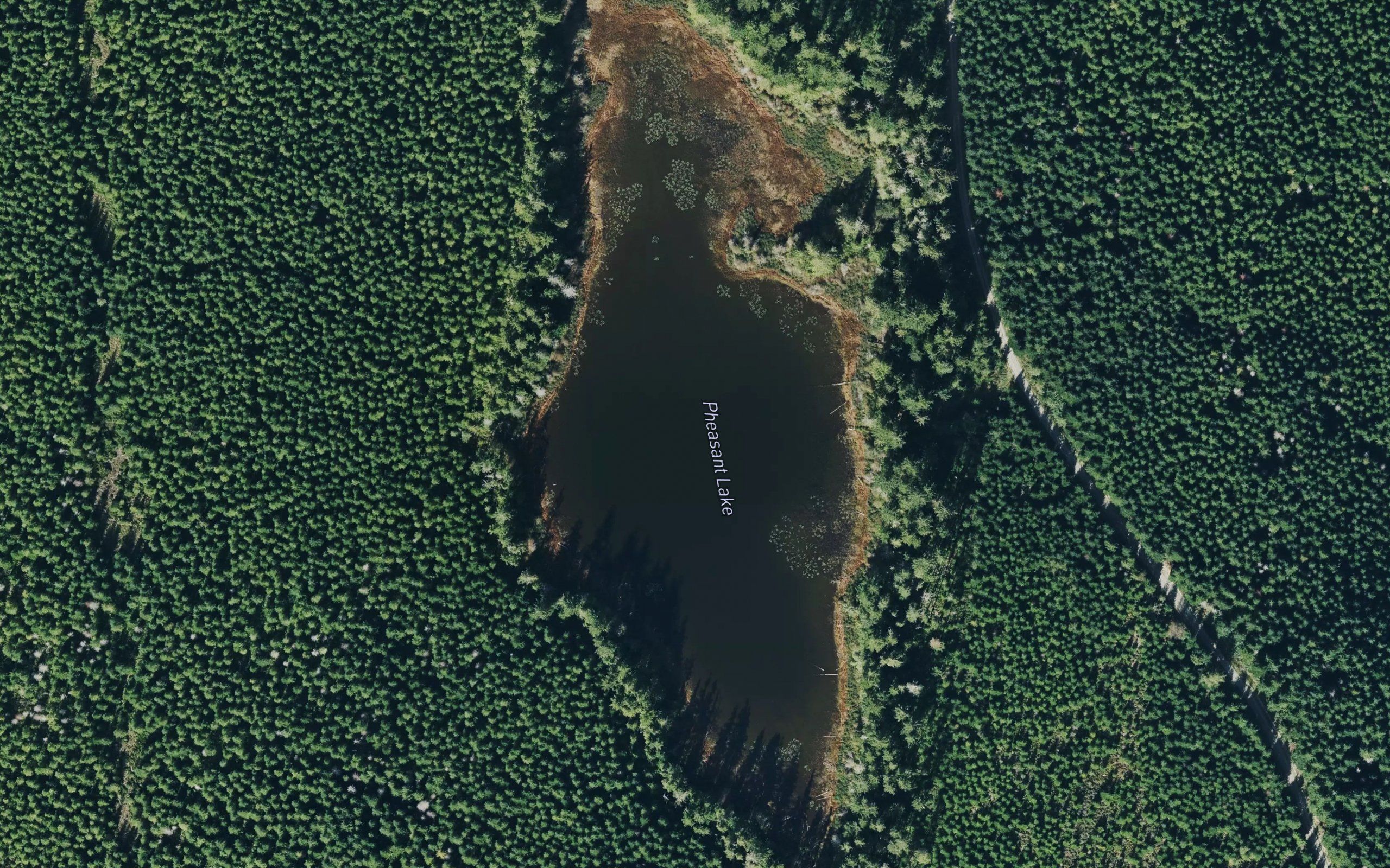 Pheasant Lake