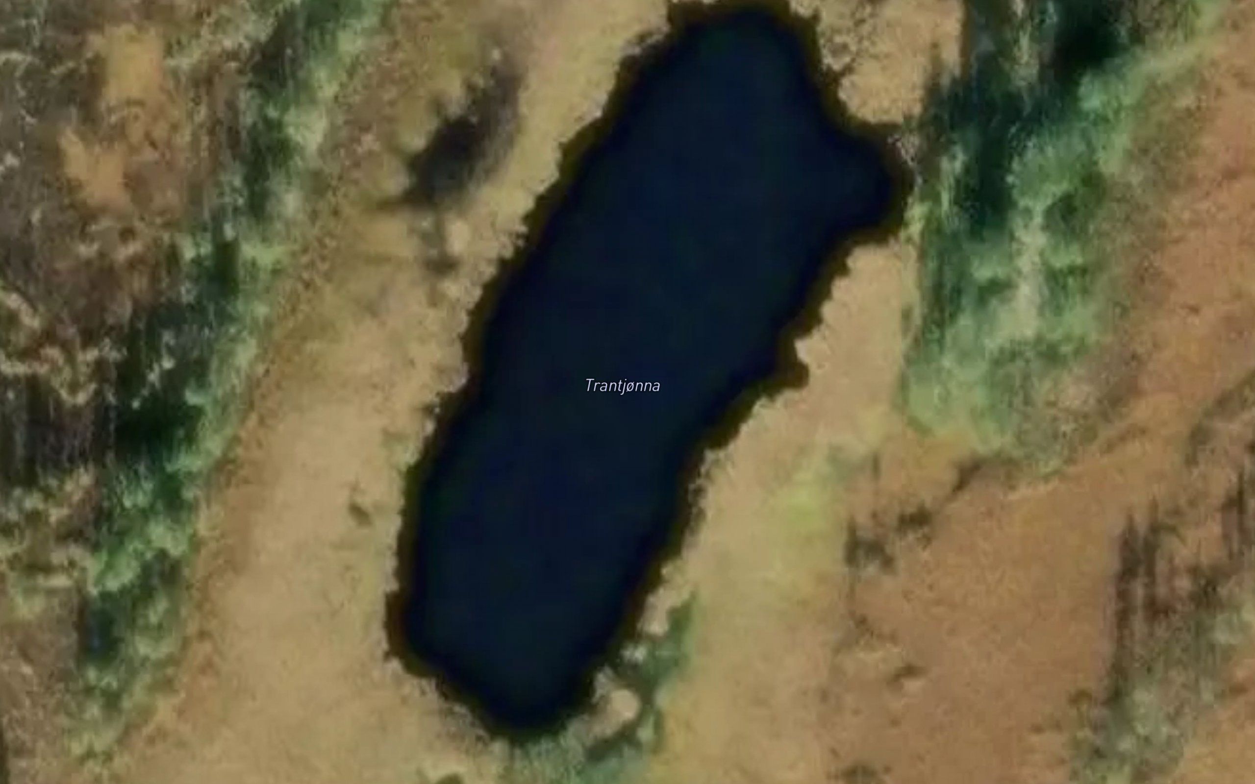 Trantjorna