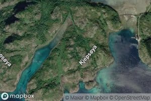 Molldora