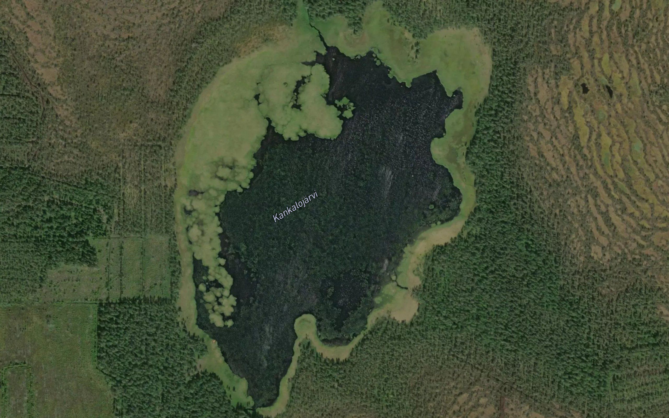 Kankalojarvi