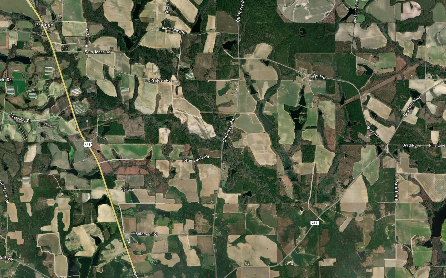 Satellite map of the Reedy Branch