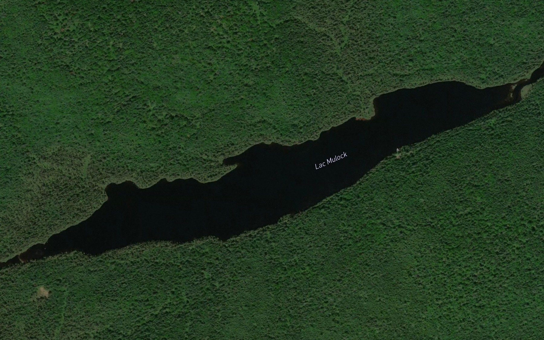 Satellite map of the Lac Mulock