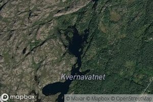 Steinloppetjorna
