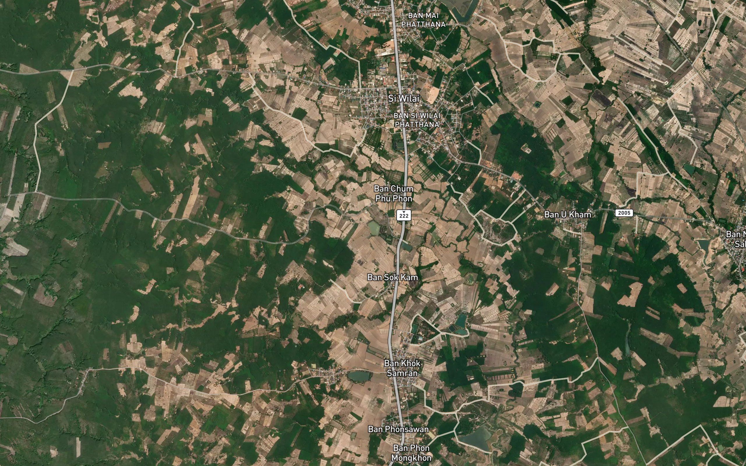Nong Yai