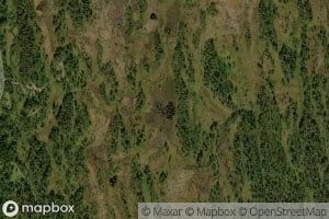 Synner Storkjolfloen