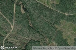 Beaverdale Creek