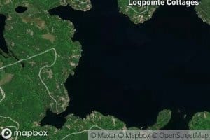 Lily Pad Bay