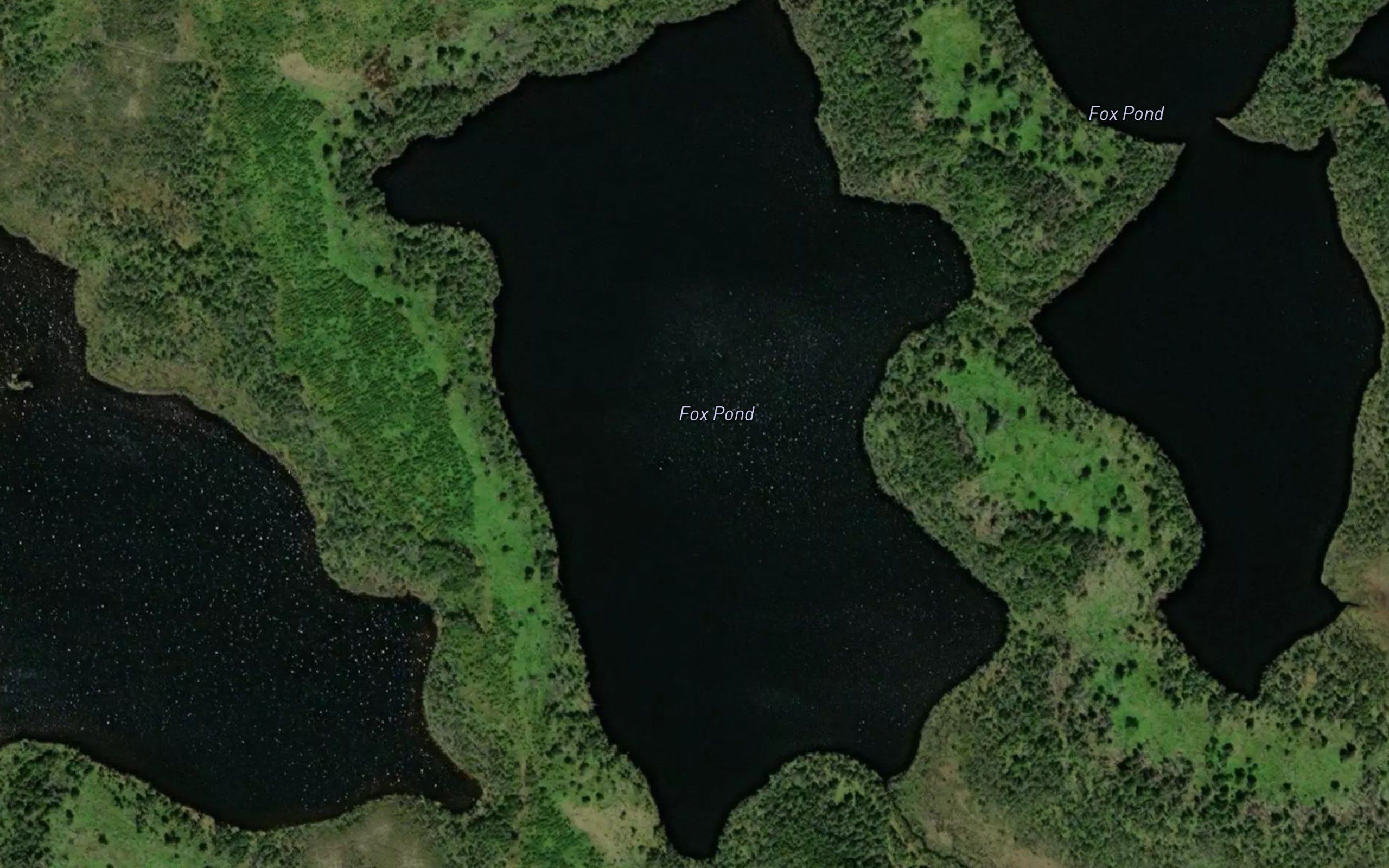 Jacks Pond