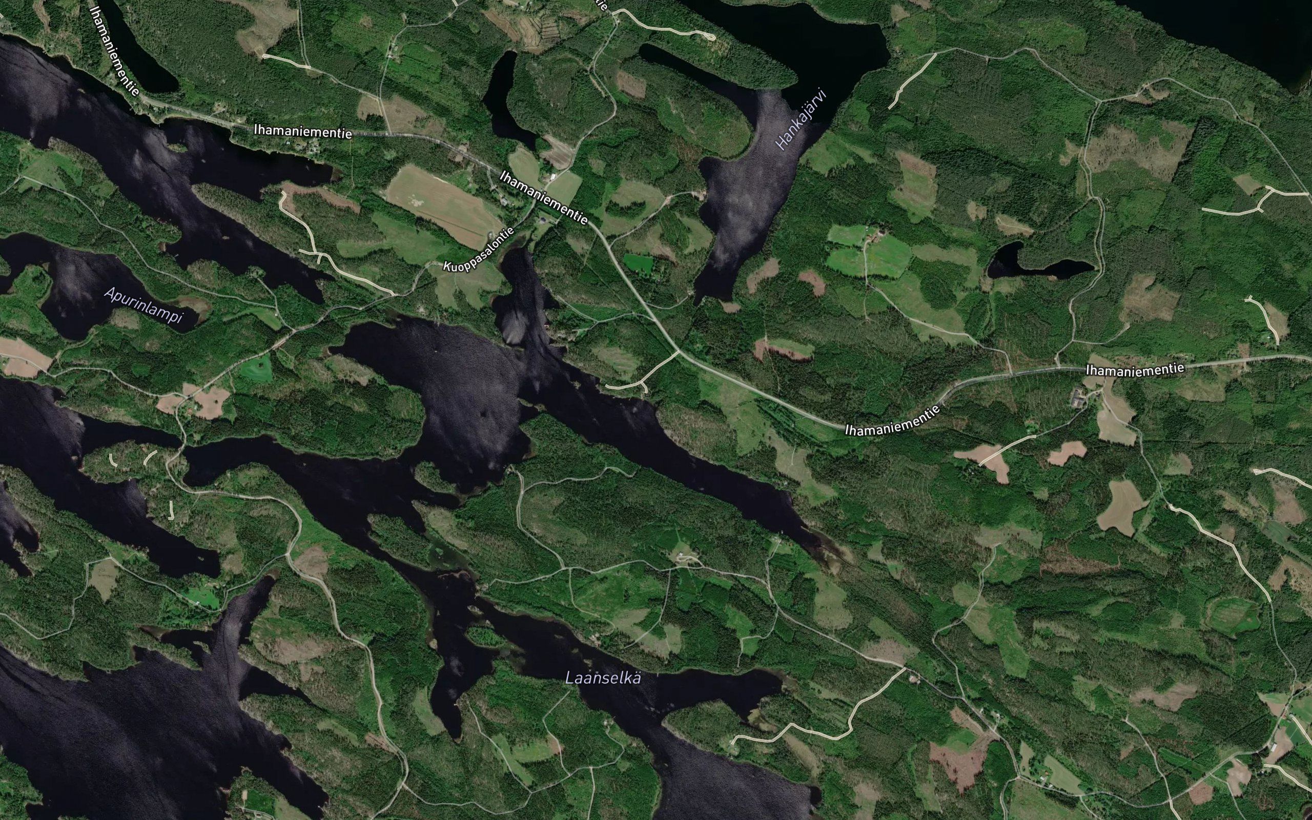 Hankajoki