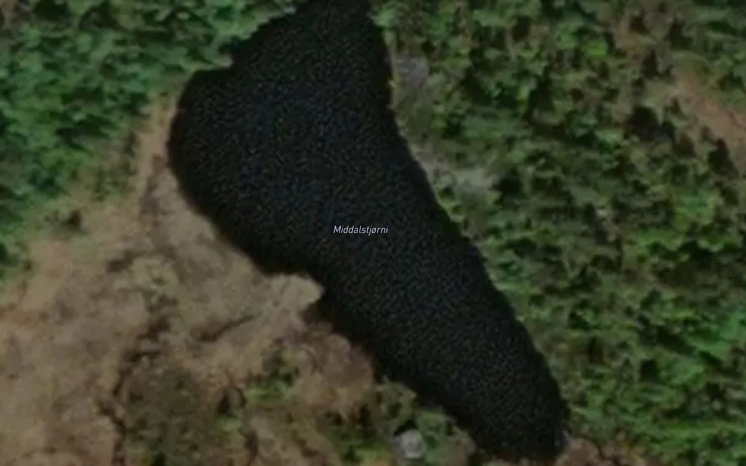 Middalstjonni