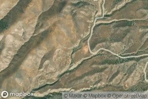 Taylor Spring