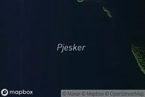 Pjesker