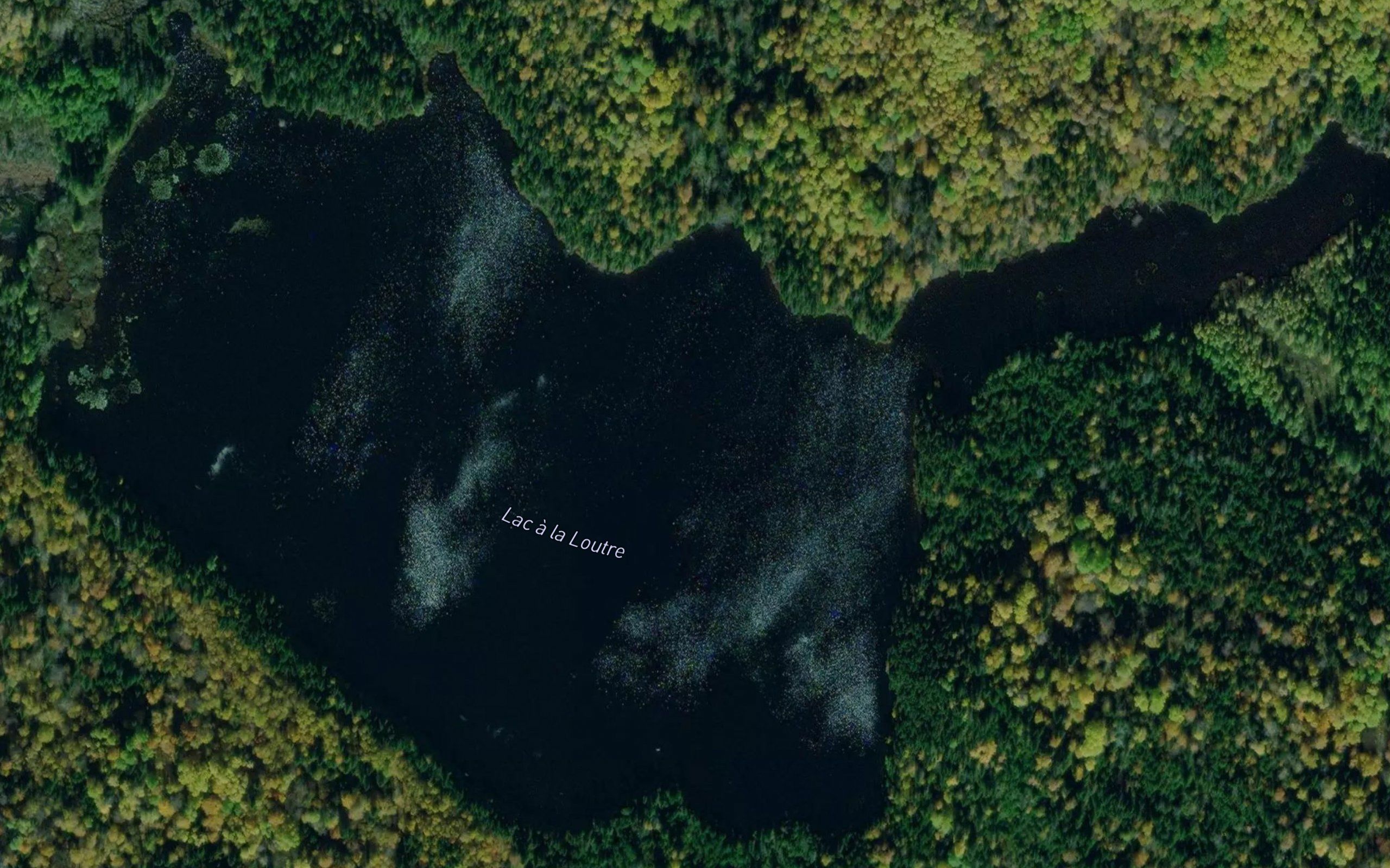 Lac Micheline-Vallee