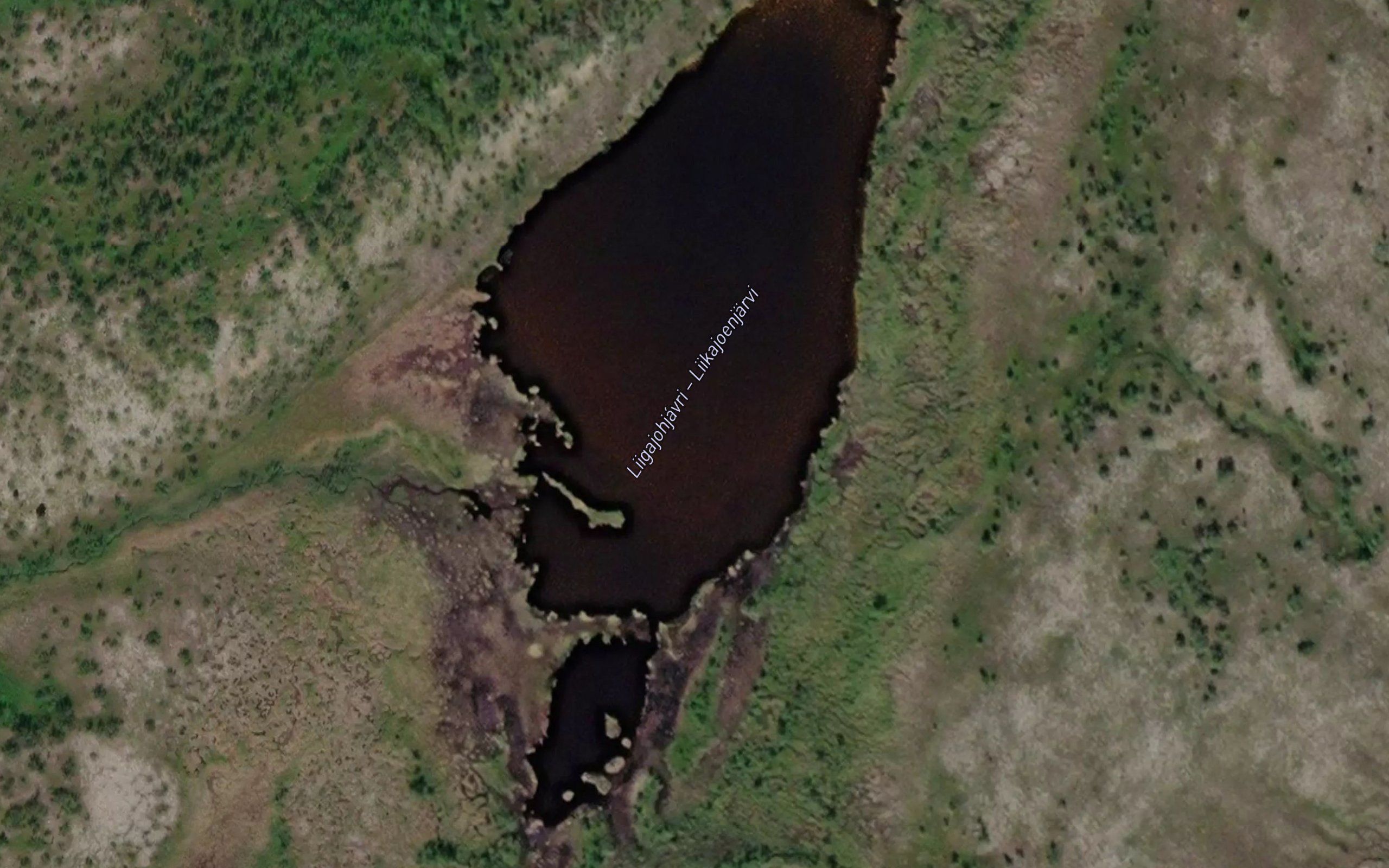 Liigajakjavri
