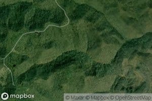 Lower Right Fork Long Branch