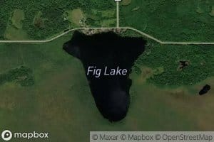 Fig Lake