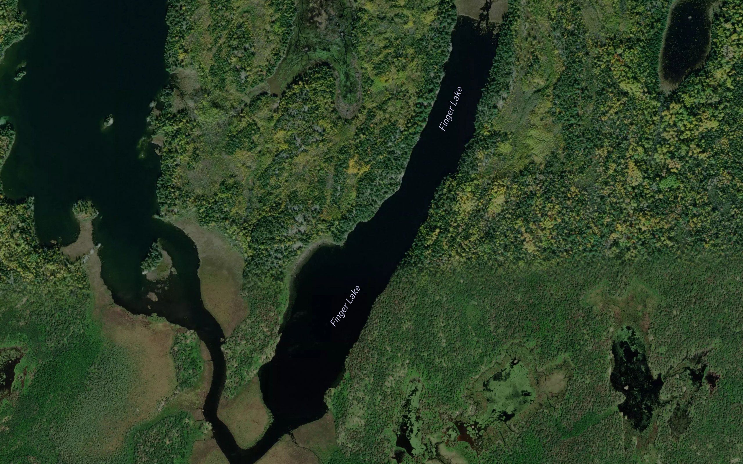 Finger Lake