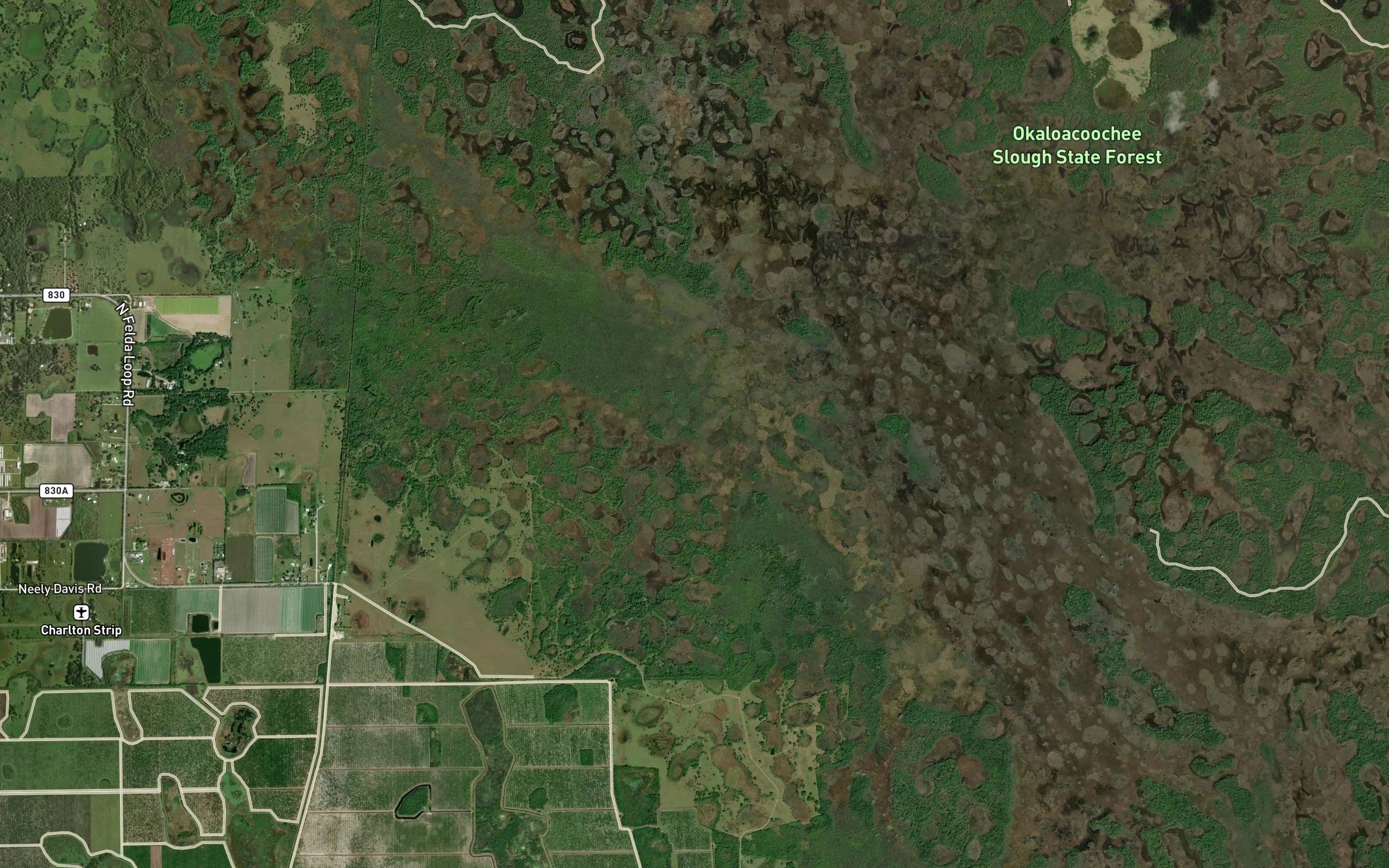 Okaloacoochee Slough
