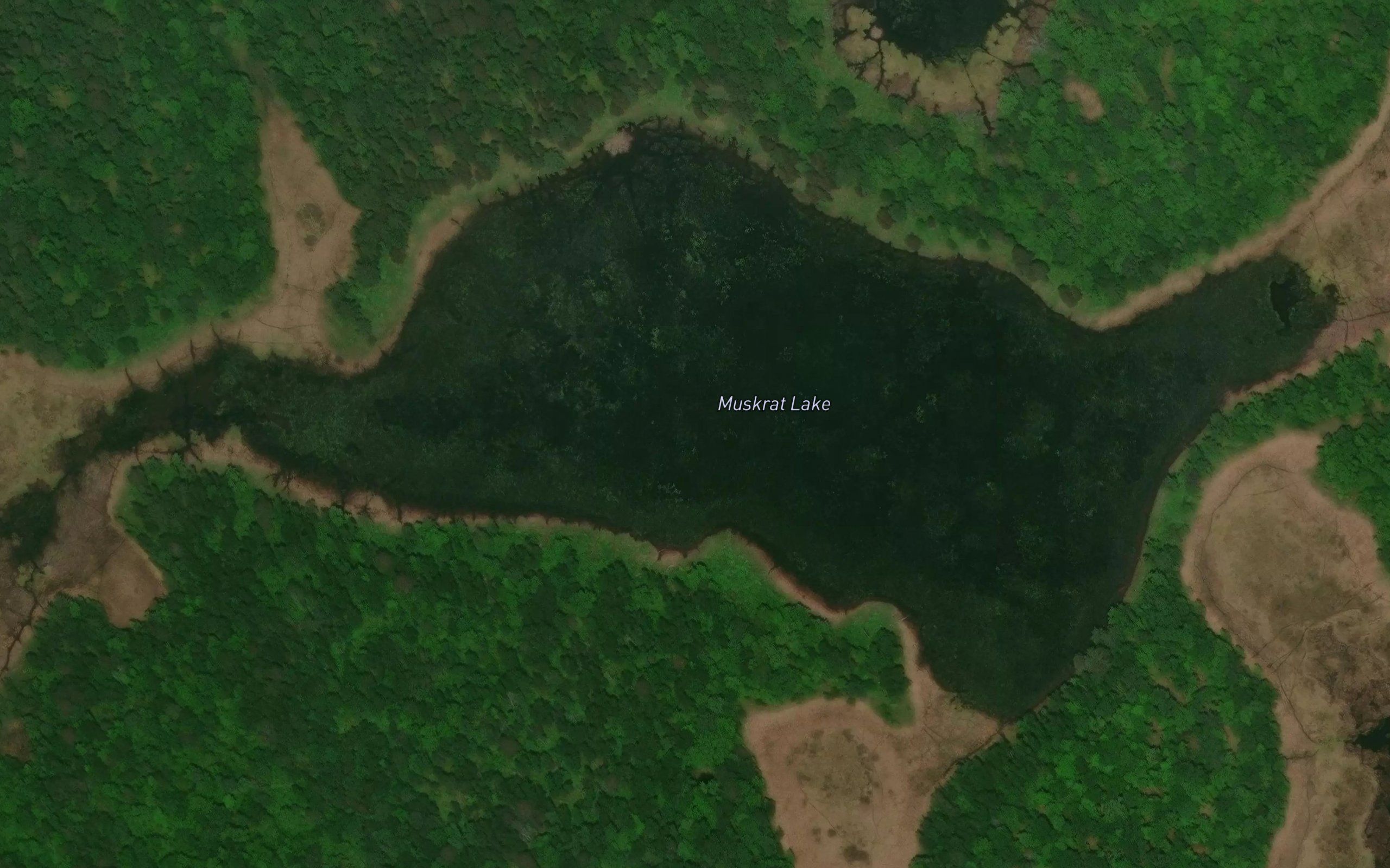 Muskrat Lake