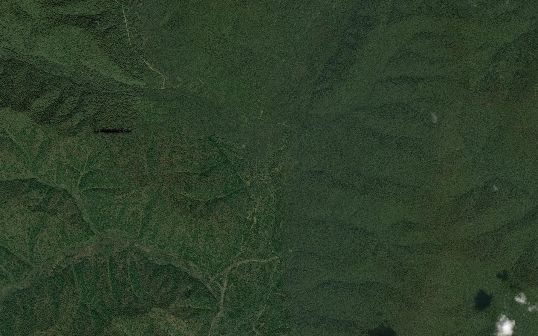 Satellite map of the Kolominka