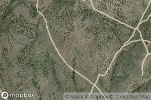 Wheeler Spring
