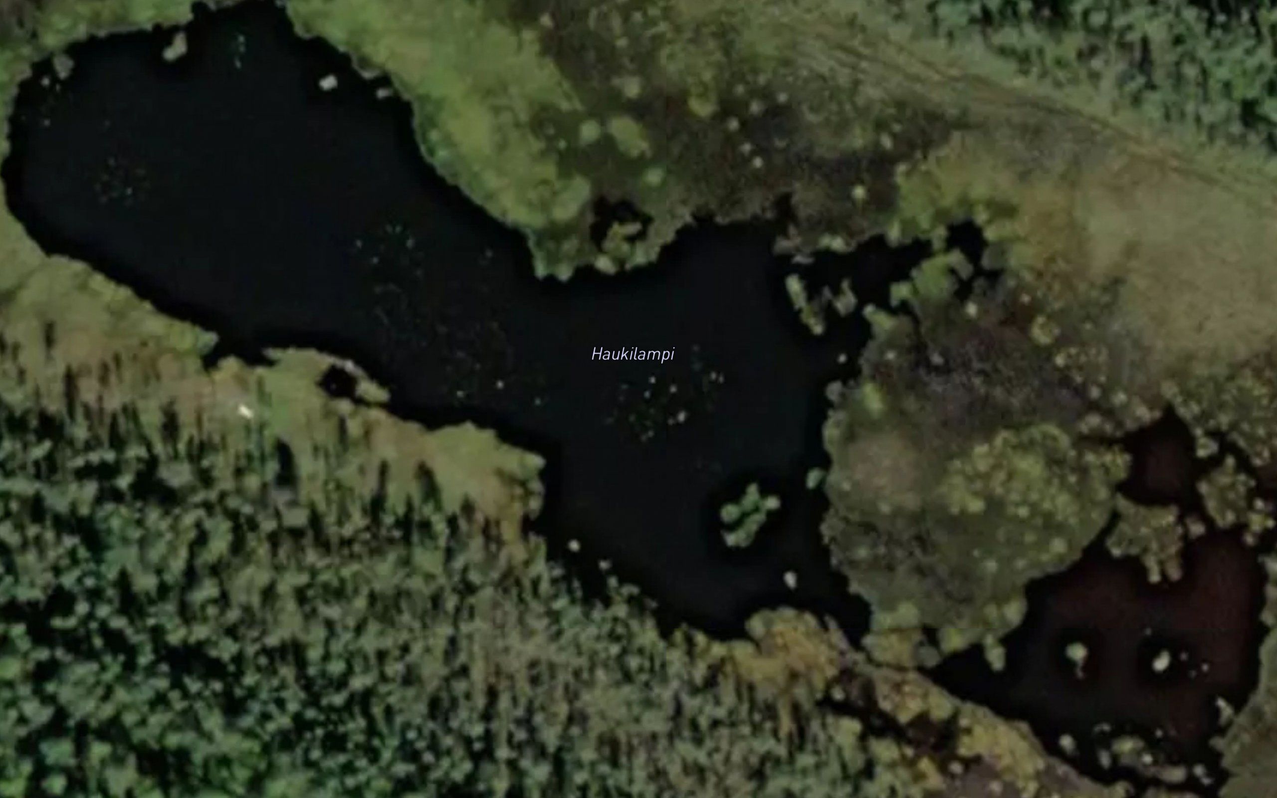 Haukilampi