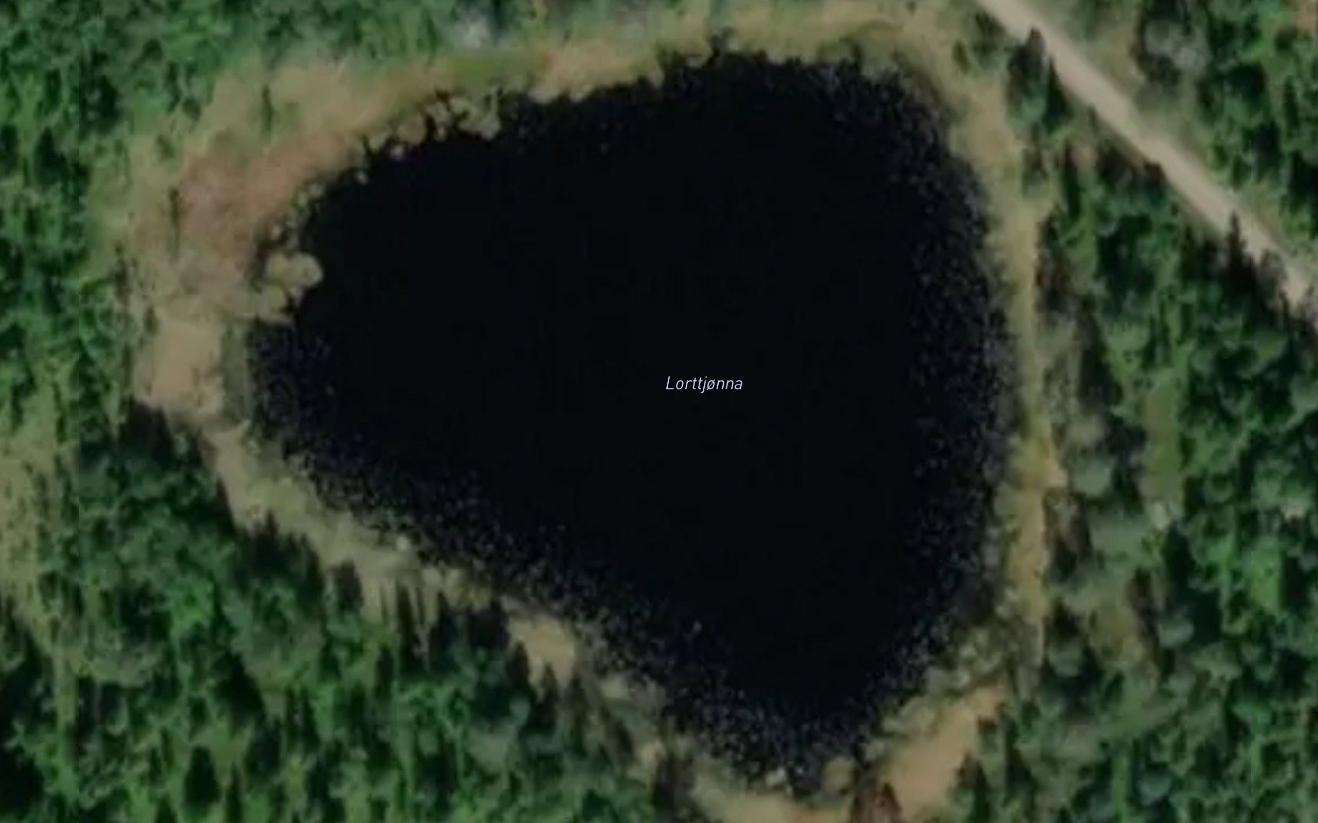 Lorttjernet