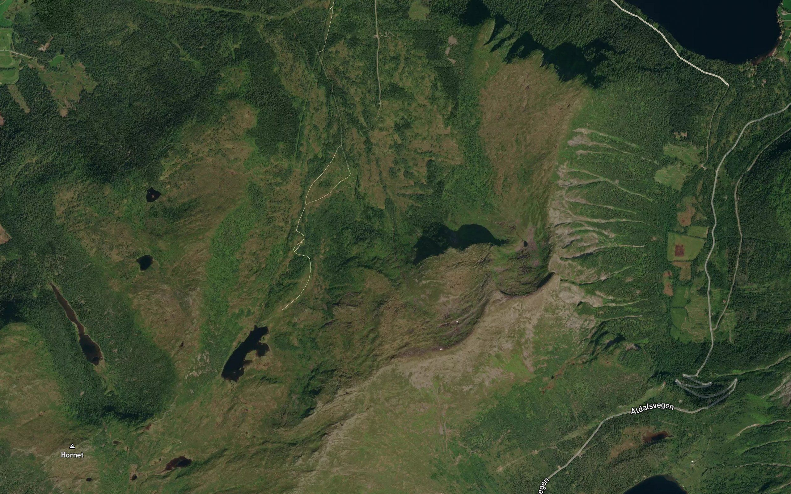 Angsteielva