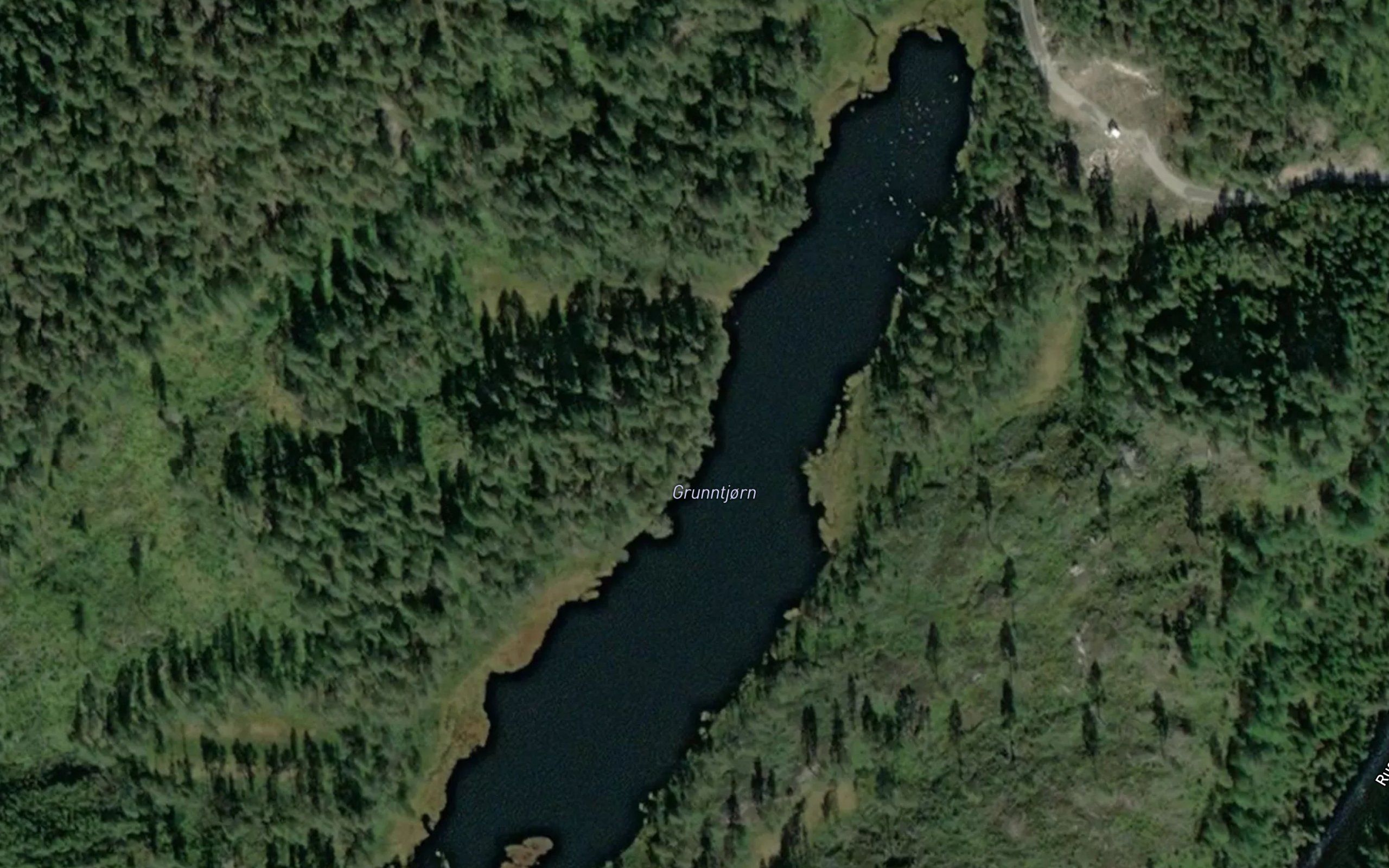 Grunntjorn