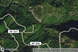 North Fork Staley Creek