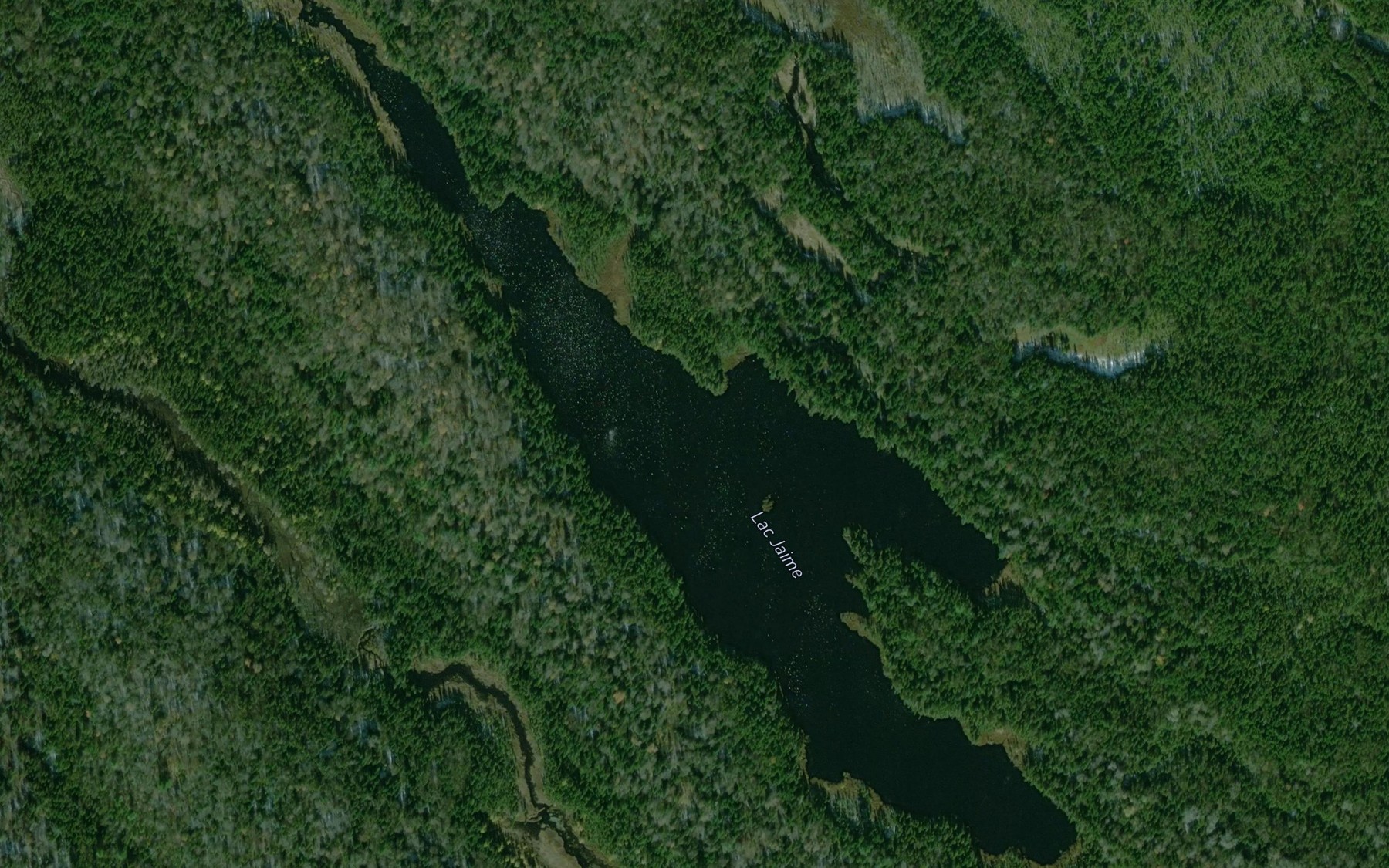 Satellite map of the Lac Jaime