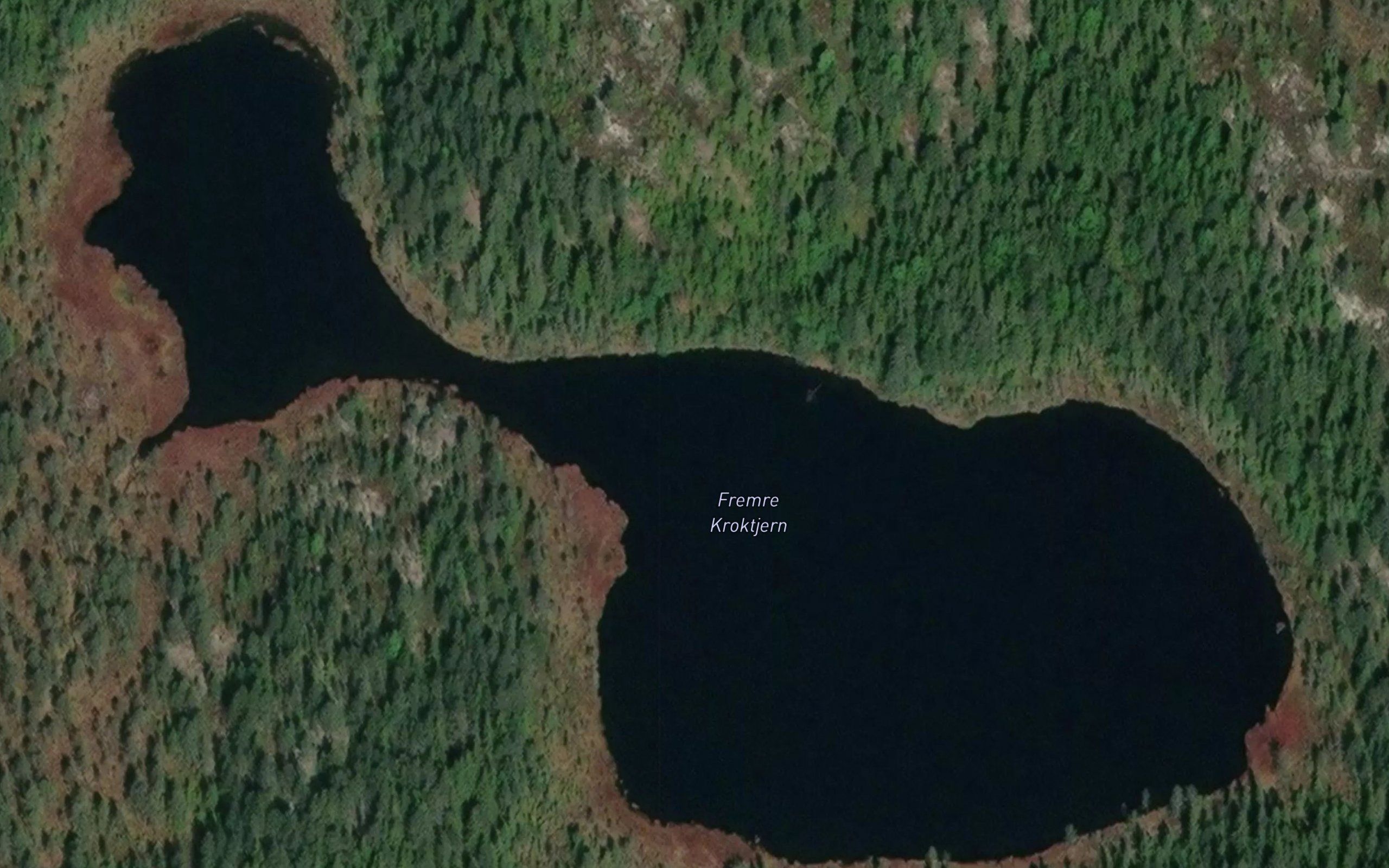 Kroktjern,fremre