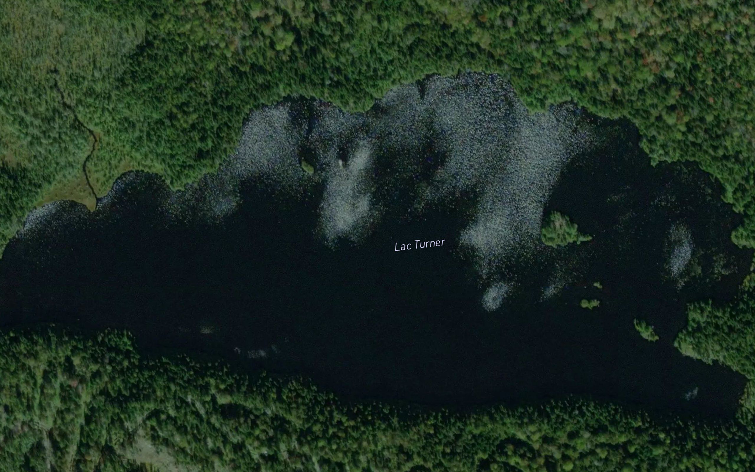 Lac Turner