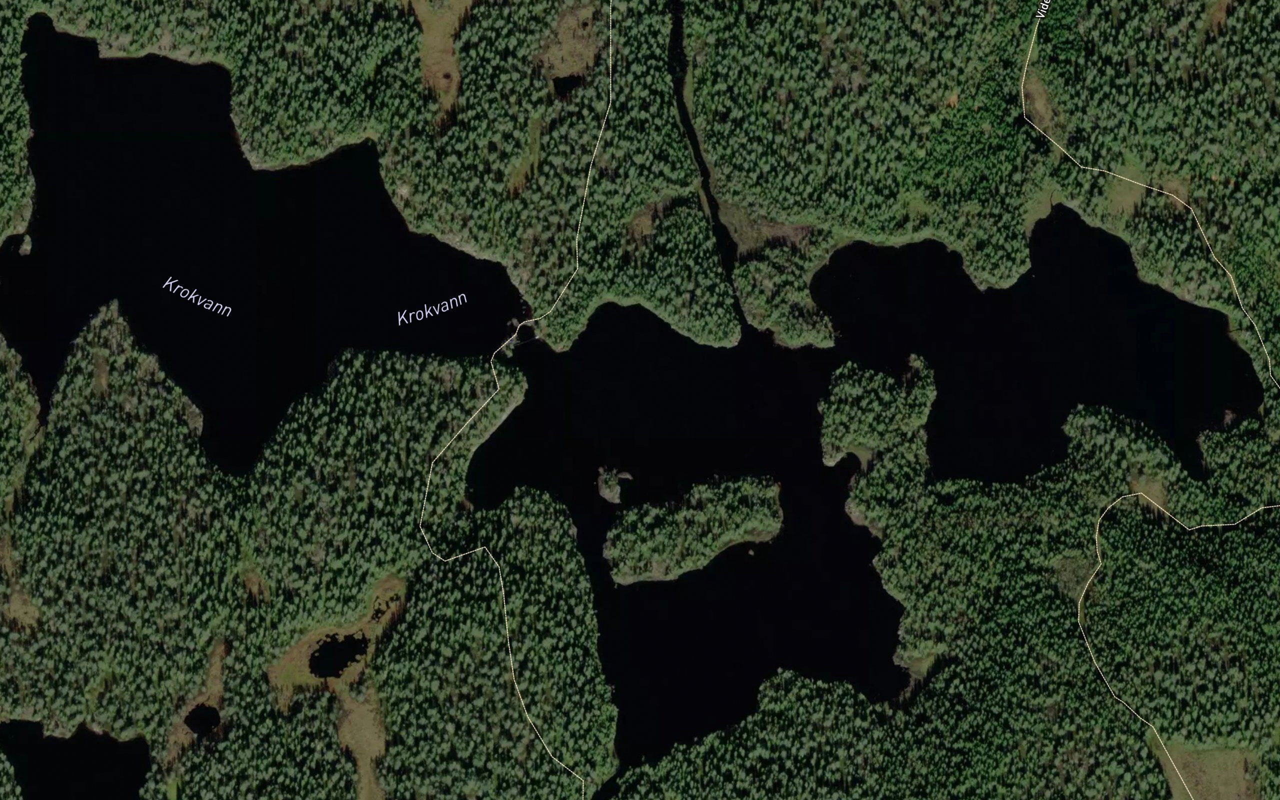 Krokvann