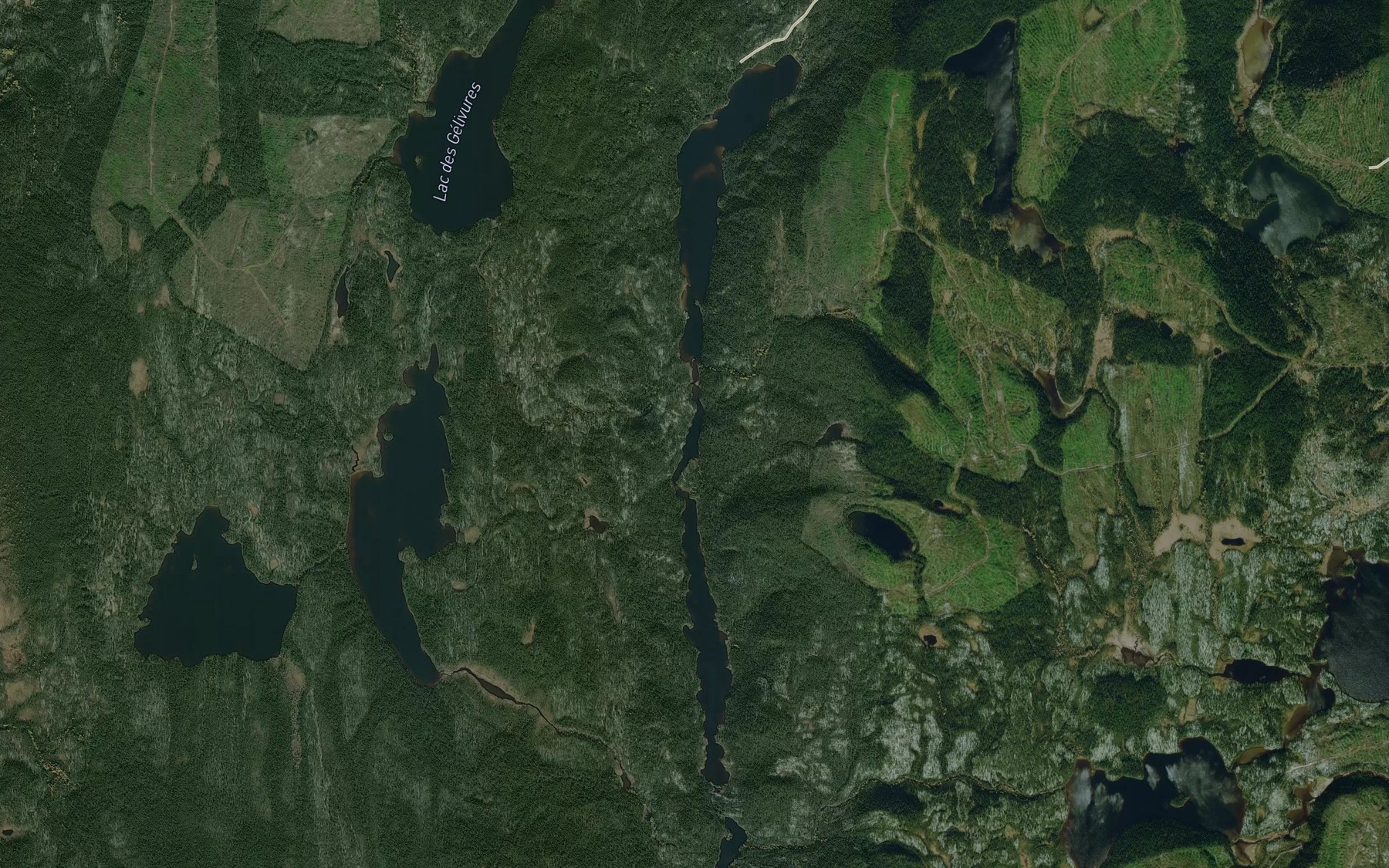 Satellite map of the Lac Aiguille