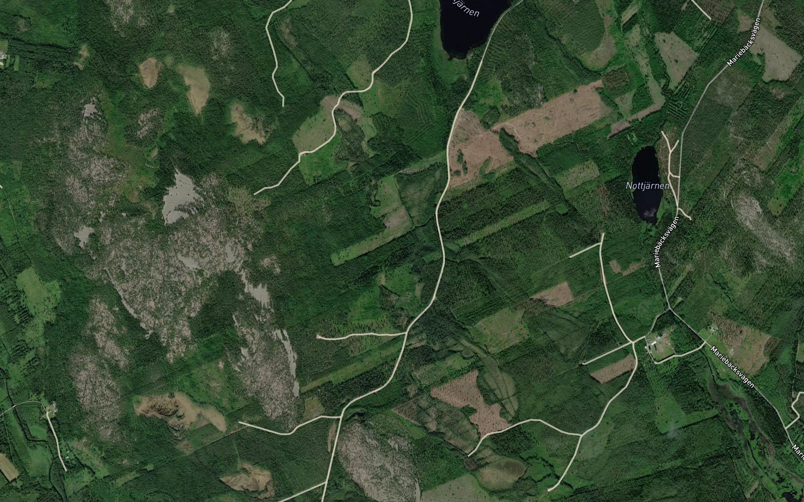 Talltjarnen