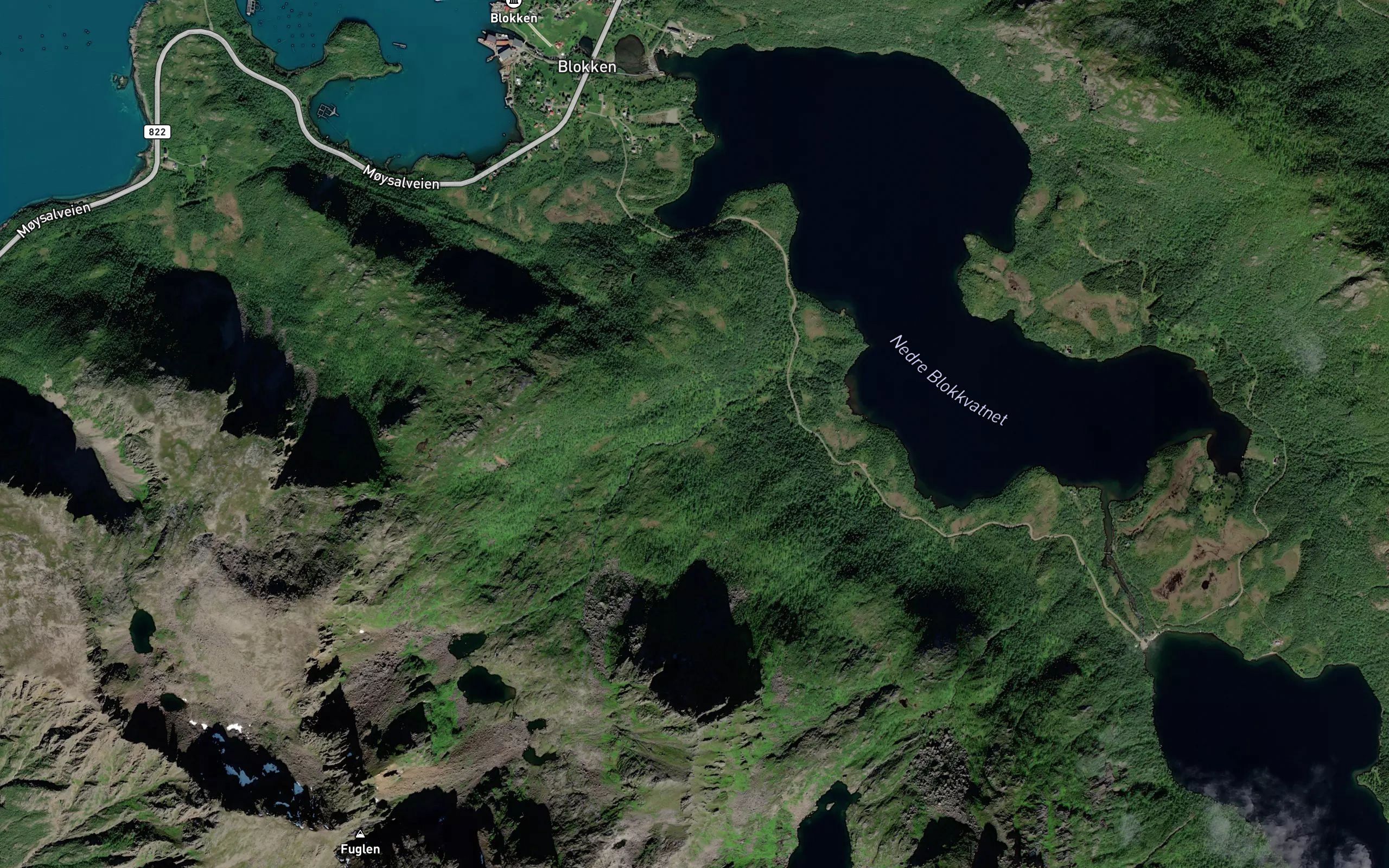 Molldalselva
