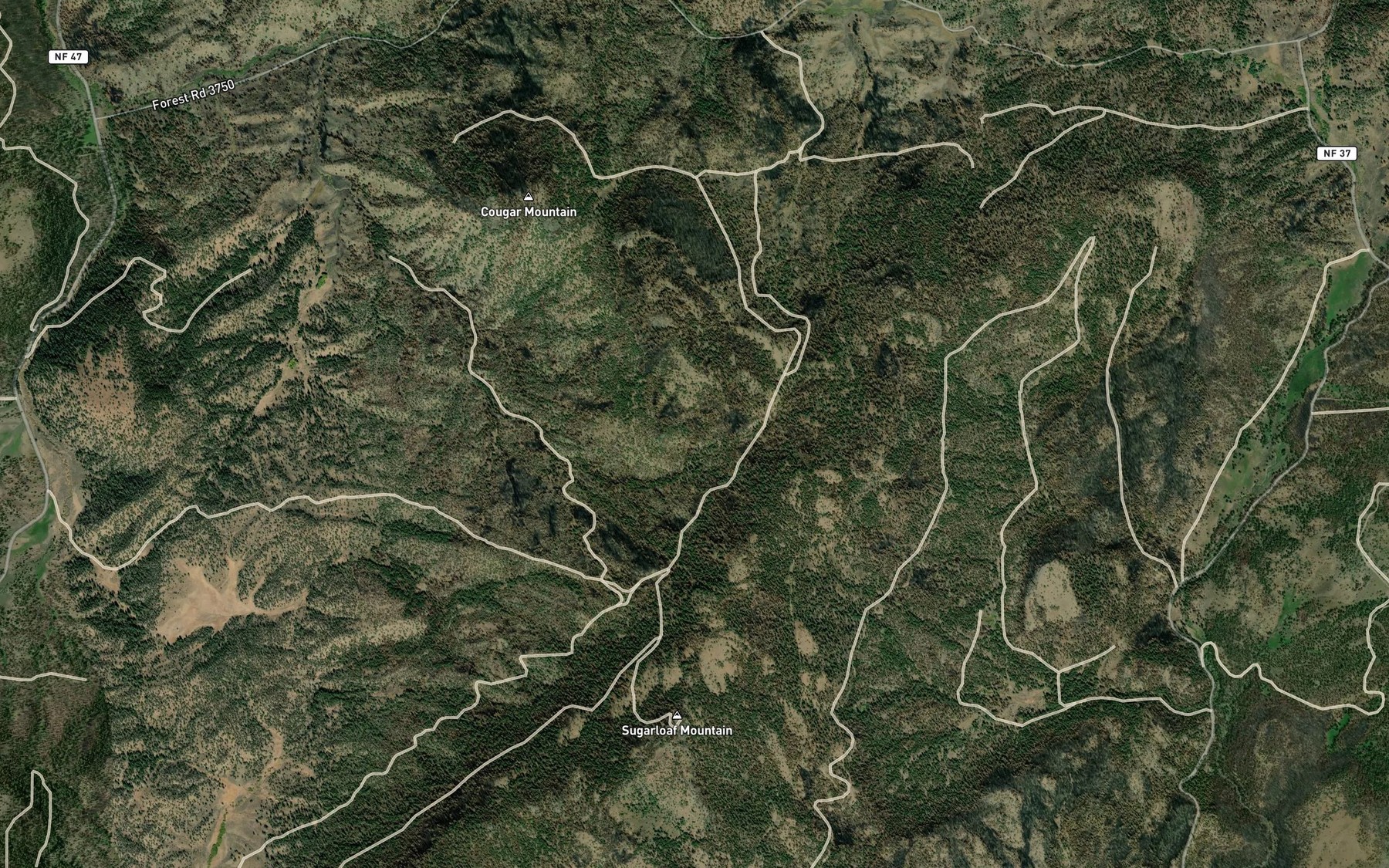 Satellite map of the Twin Springs