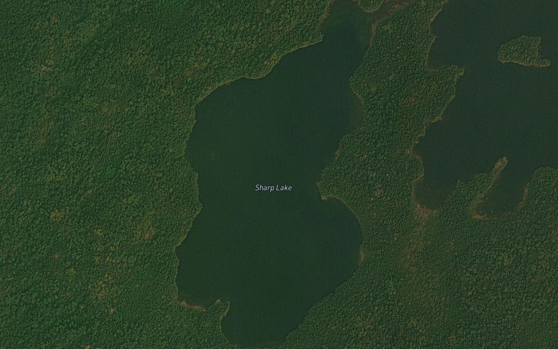 Satellite map of the Sharp Lake