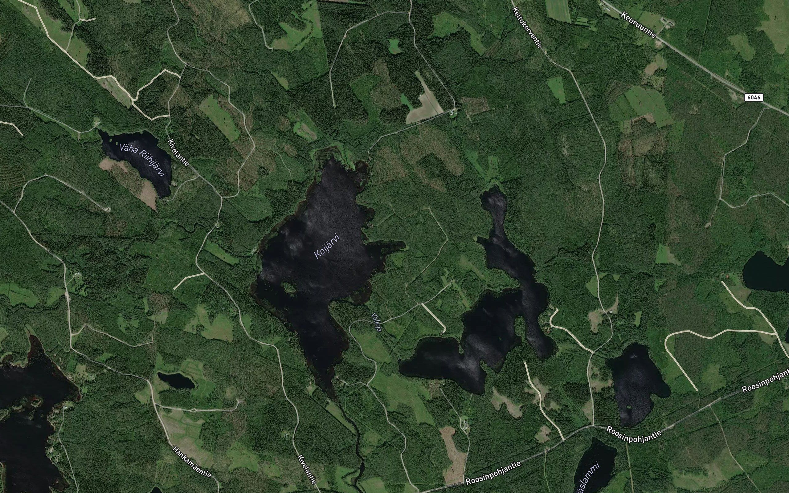 Pitkalahti