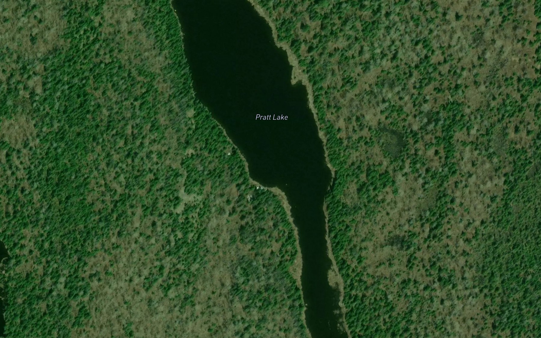 Satellite map of the Pratt Lake